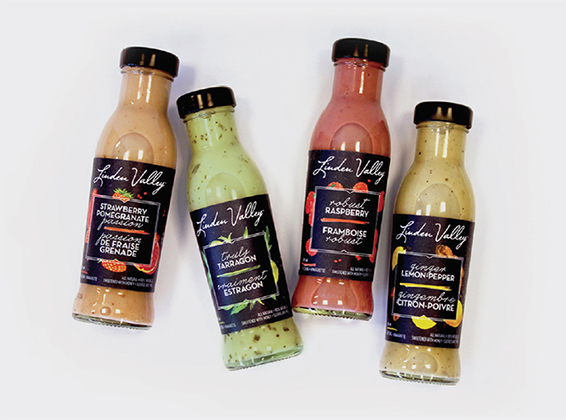 salad dressing bottles with colourful dressings and black labels
