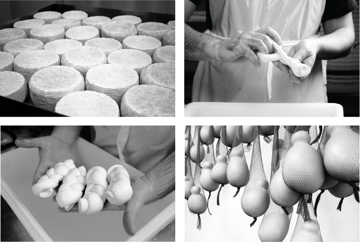 Black and white photographs of cheese being made